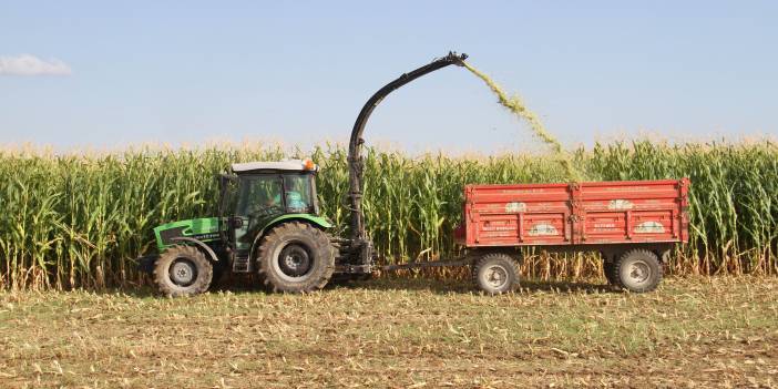 Konya’da silajlık mısır üretimi arttı