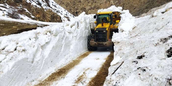 Yüksekova'nın İran sınırında karla mücadele sürüyor