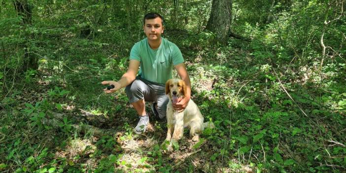 Kilosu iki bin Euro'ya satılan trüf mantarını radar köpekler buluyor