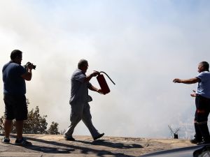 Alevlerin arasında kalan kaplumbağa