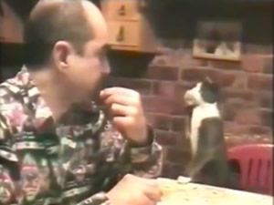İşaret Diliyle Yemek İsteyen Kedi