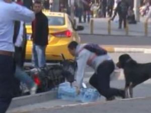 Taksim'de sopalı ve köpekli trafik kavgası